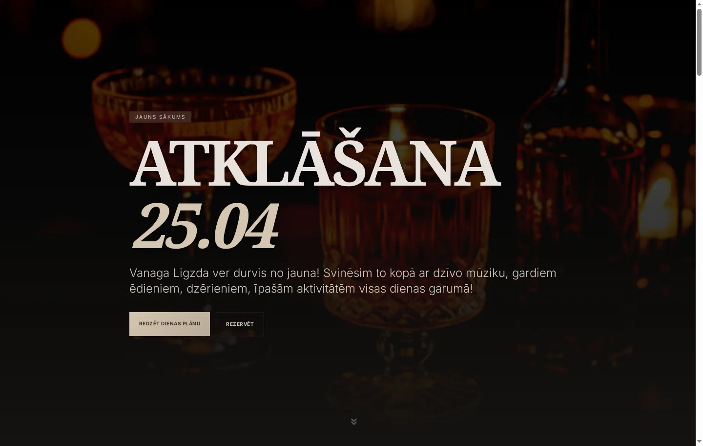 Vanaga Ligzda pasākuma mājaslapas dizains